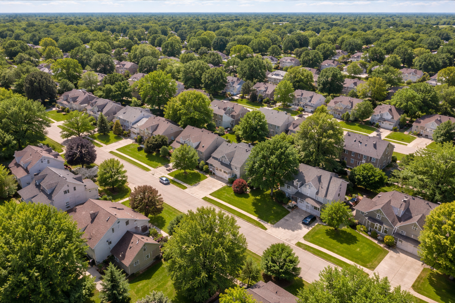 Maple Grove Neighborhood